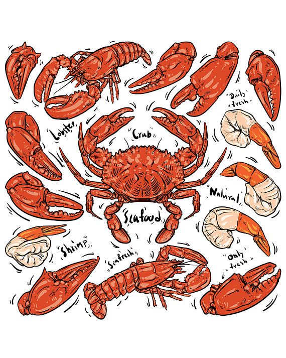 Seafood hand draw.