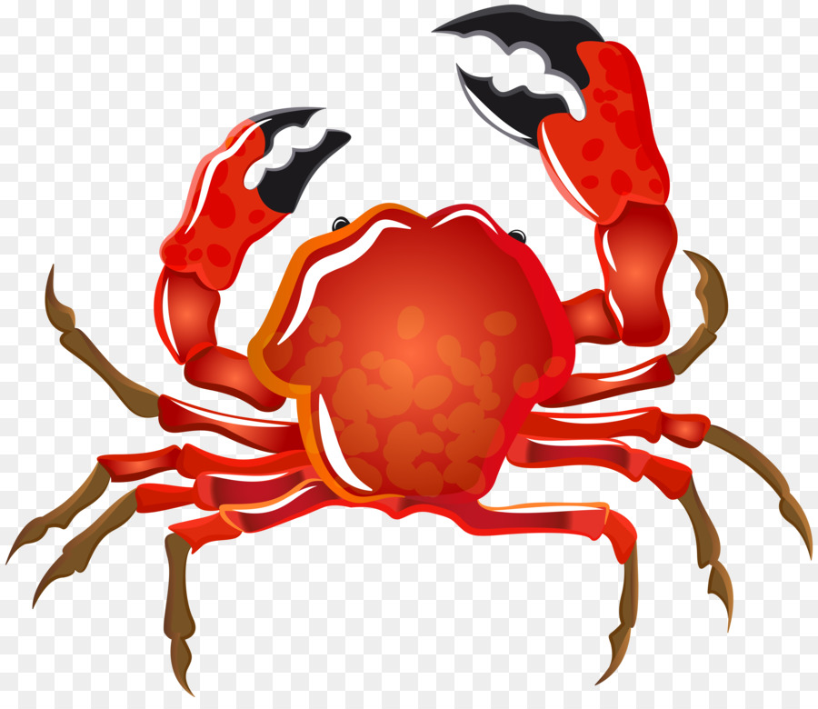 Seafood Background clipart