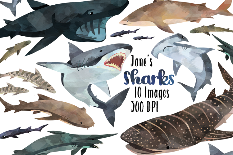 Watercolor Sharks Clipart