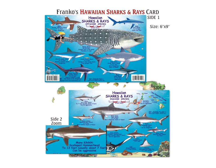 Types sharks map.