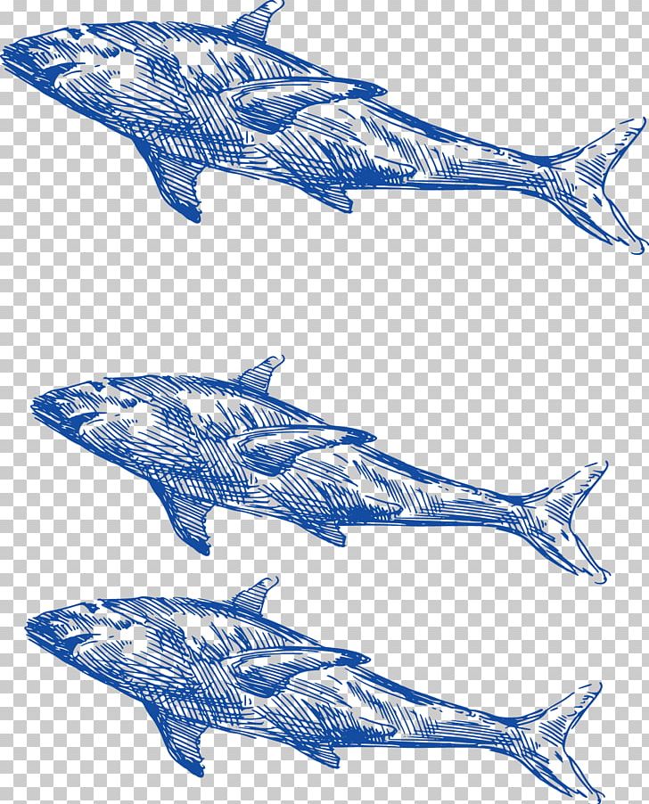 Shark Common Bottlenose Dolphin Whale PNG, Clipart, Animals