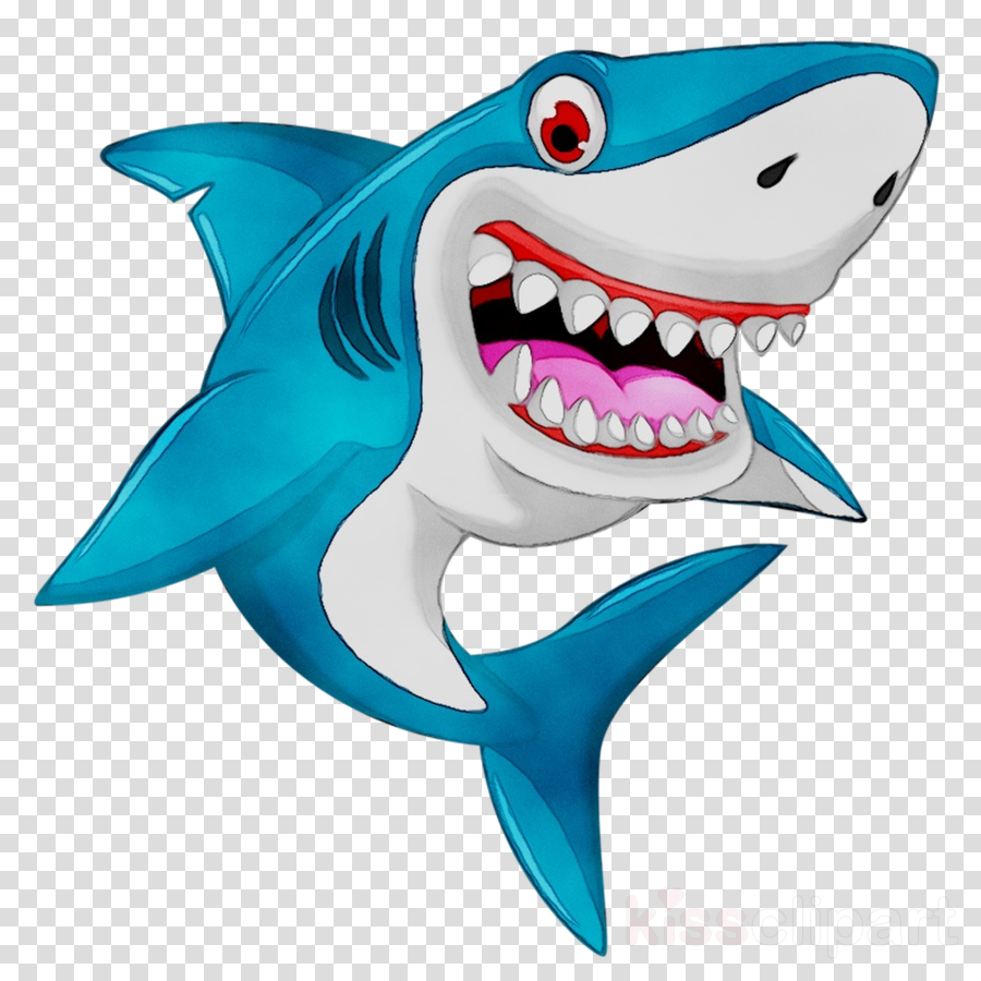 Types Of Sharks Clipart Jaws And Other Clipart Images On Cliparts Pub™