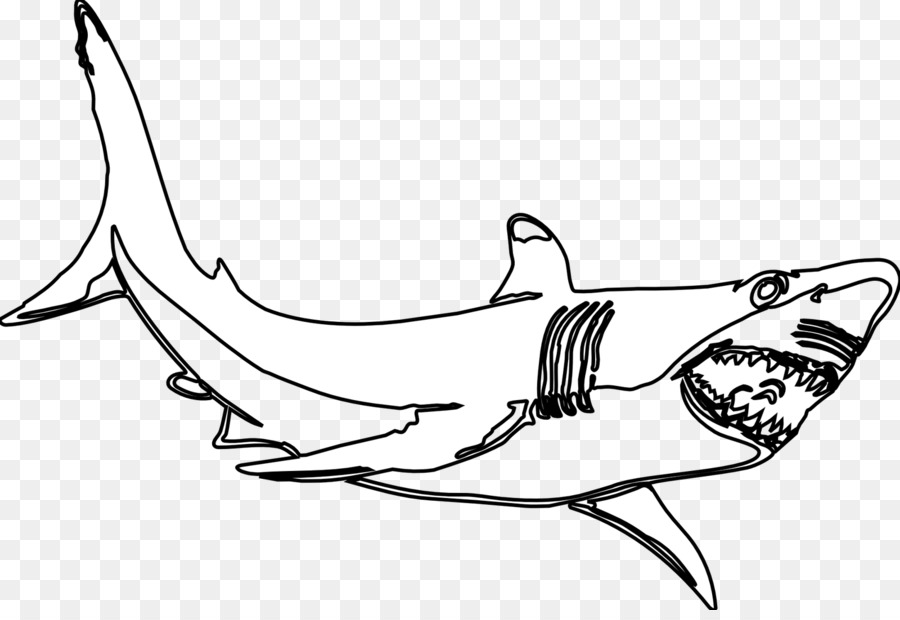 Great White Shark Background clipart