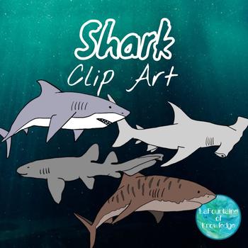 Shark clip art.