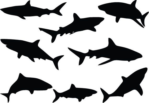 Shark Decals Page