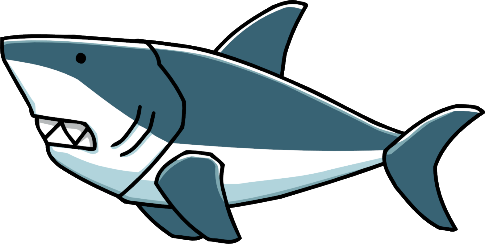 types of sharks clipart transparent