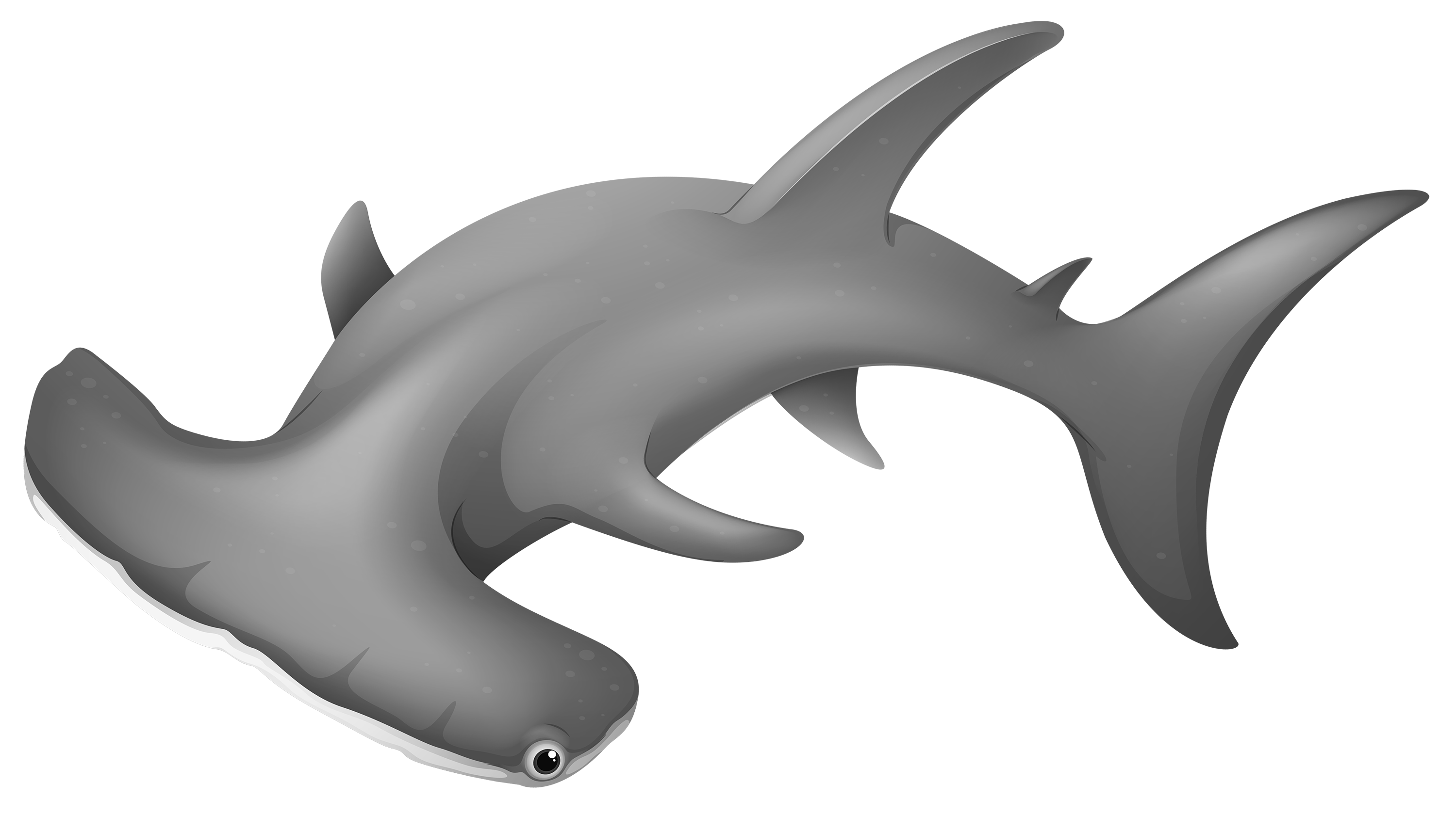 Hammerhead shark Clip art