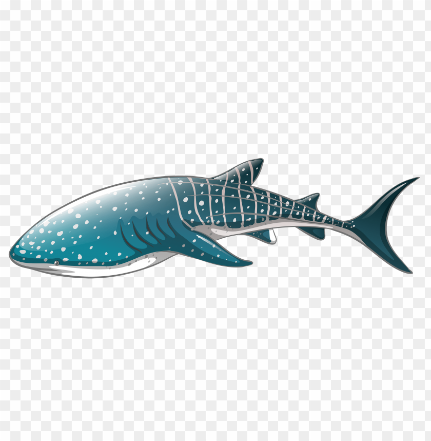 Download whale shark.