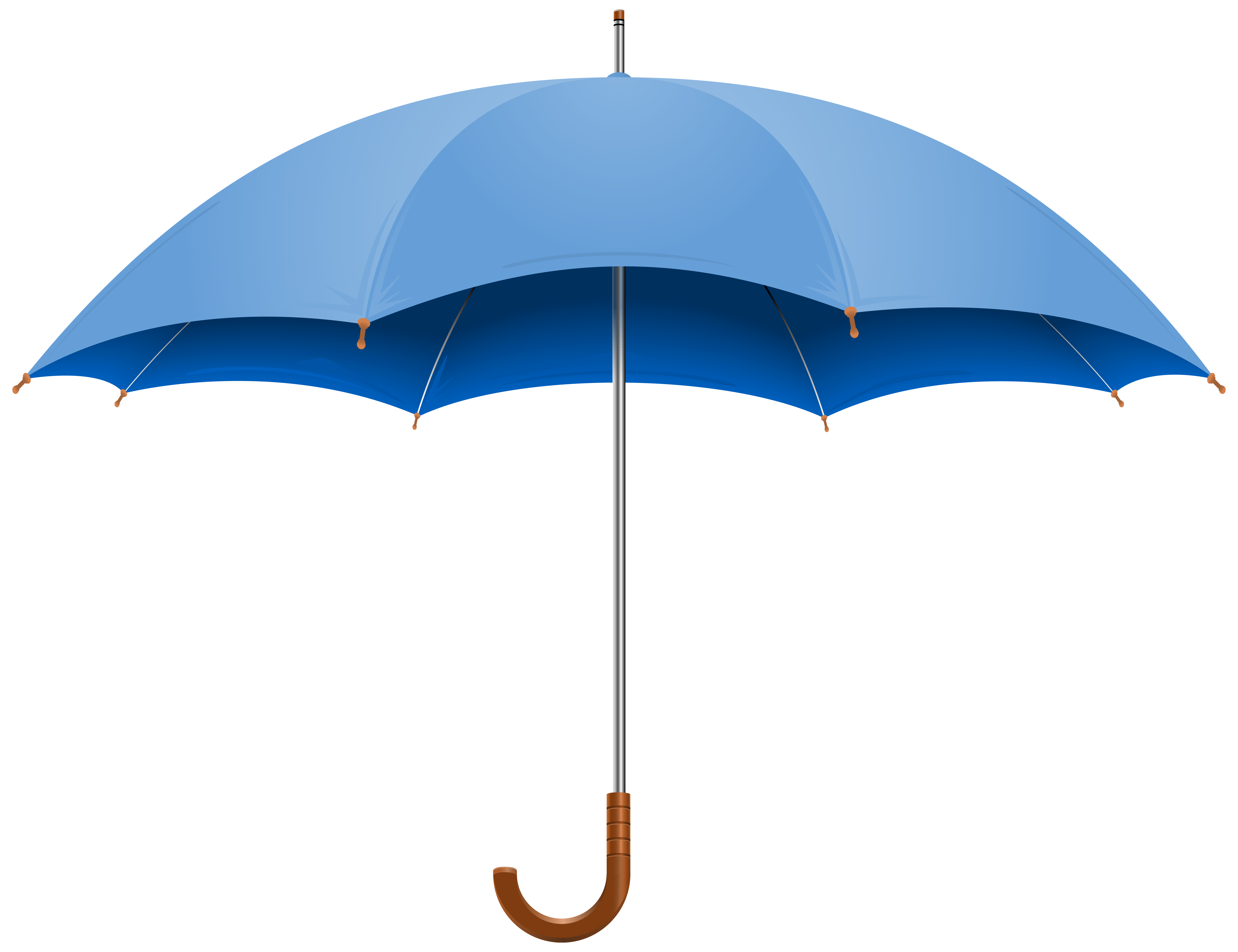 Umbrella blue clip.