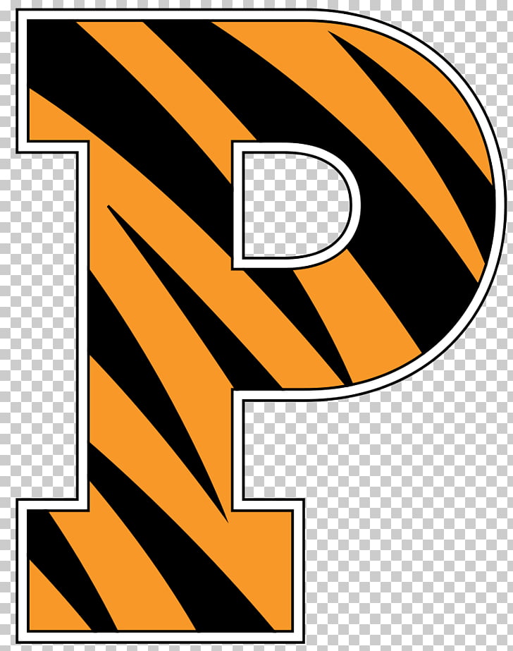 Princeton University Princeton Tigers men