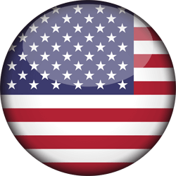 The United States flag vector