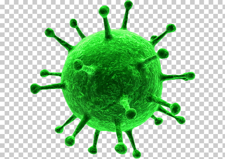Herpes simplex virus.