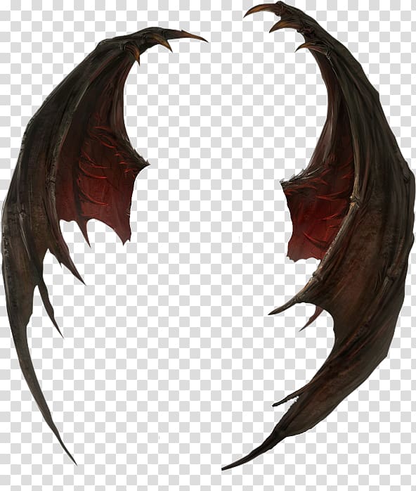 Demon wing , Real