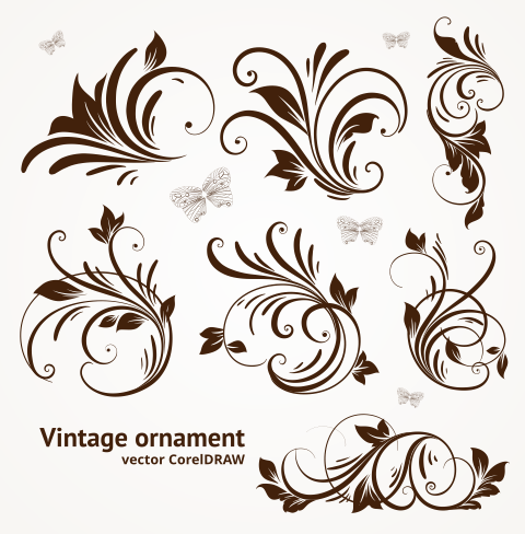 Free Download Vector Vintage Ornament Format CorelDRAW cdr