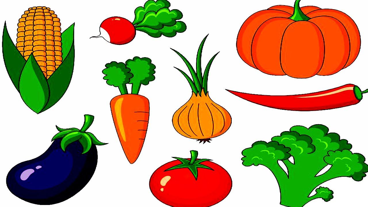 Vegetable with their Names