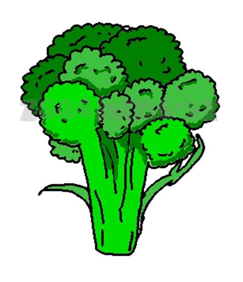 Broccoli clipart, Vegetables clip art, Broccoli clip art