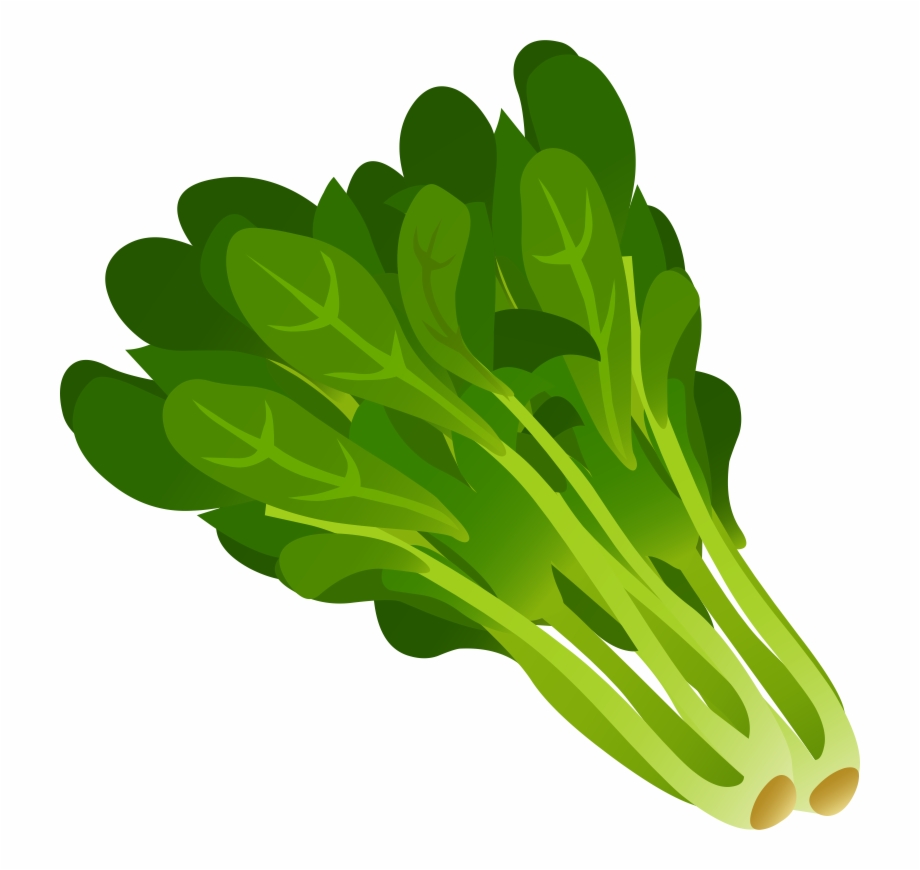 Free Vegetables Cliparts, Download Free Clip Art, Free