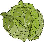 Leafy vegetables clipart