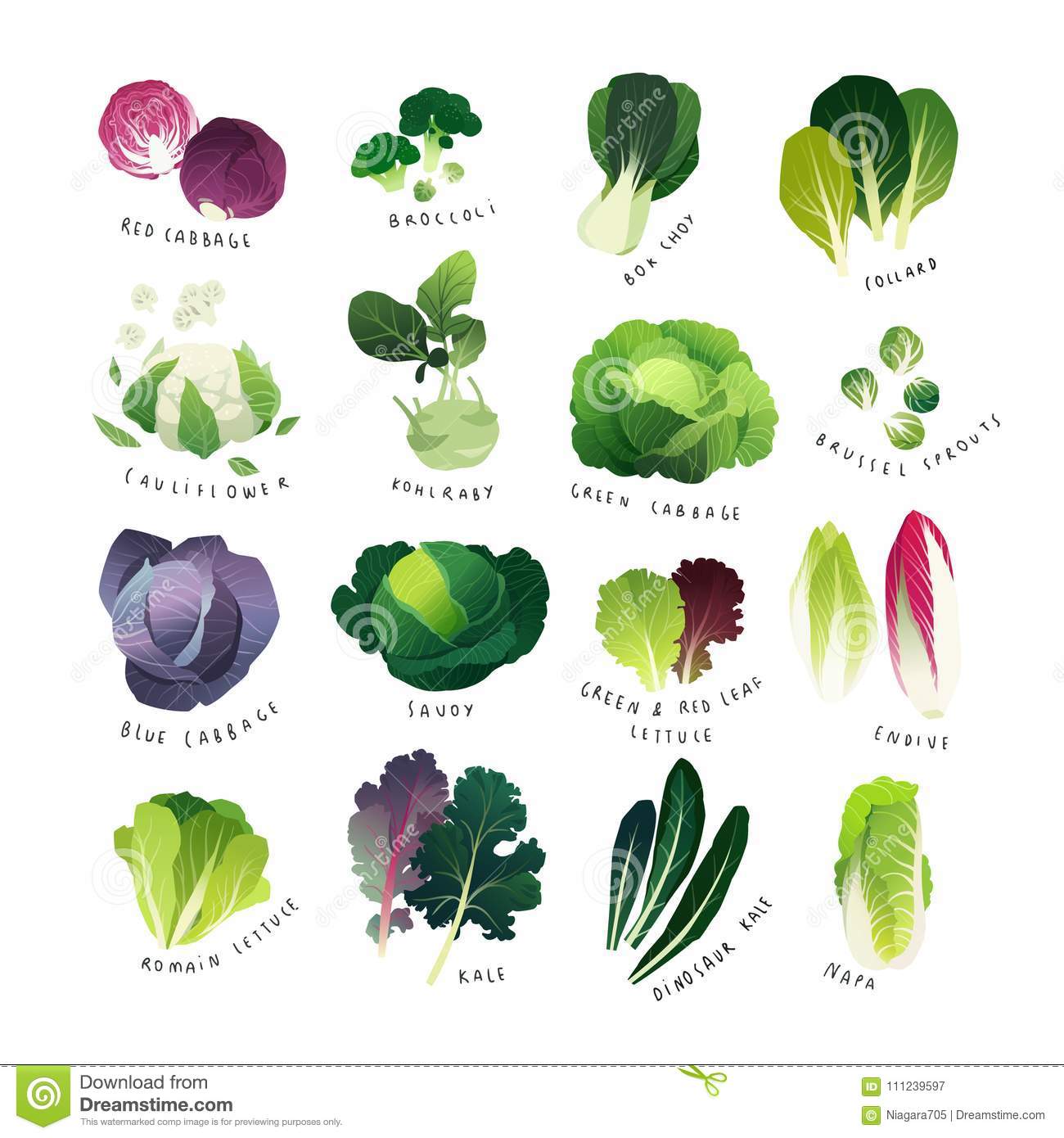 Leafy vegetables clipart.
