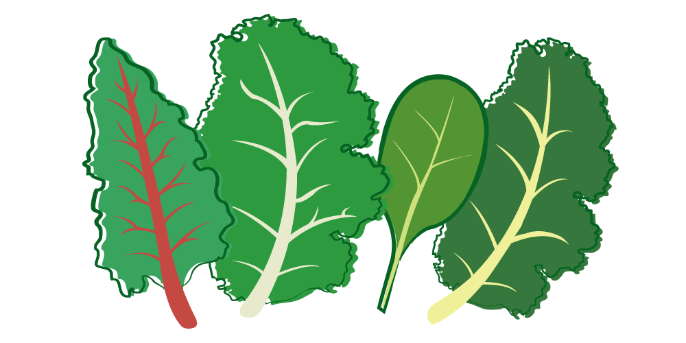 Vegetables clipart leafy.