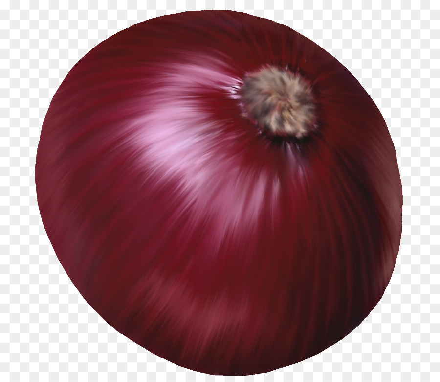 Red onion vegetable.