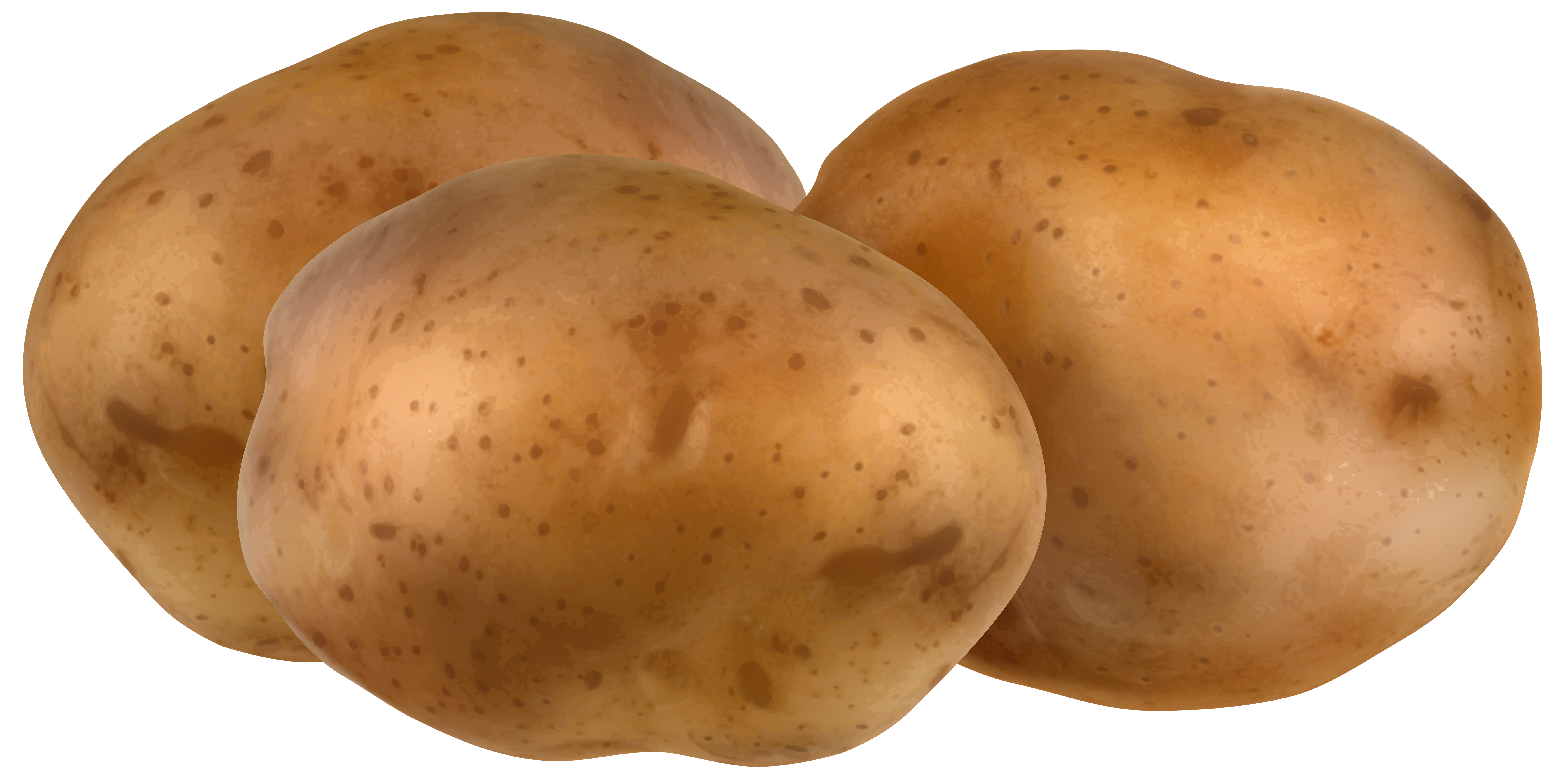 Potatoes transparent png.