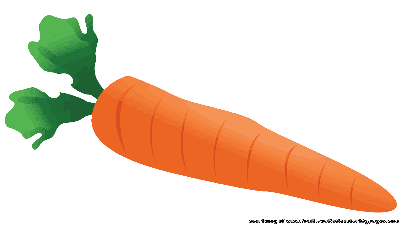 Carrot clipart single.