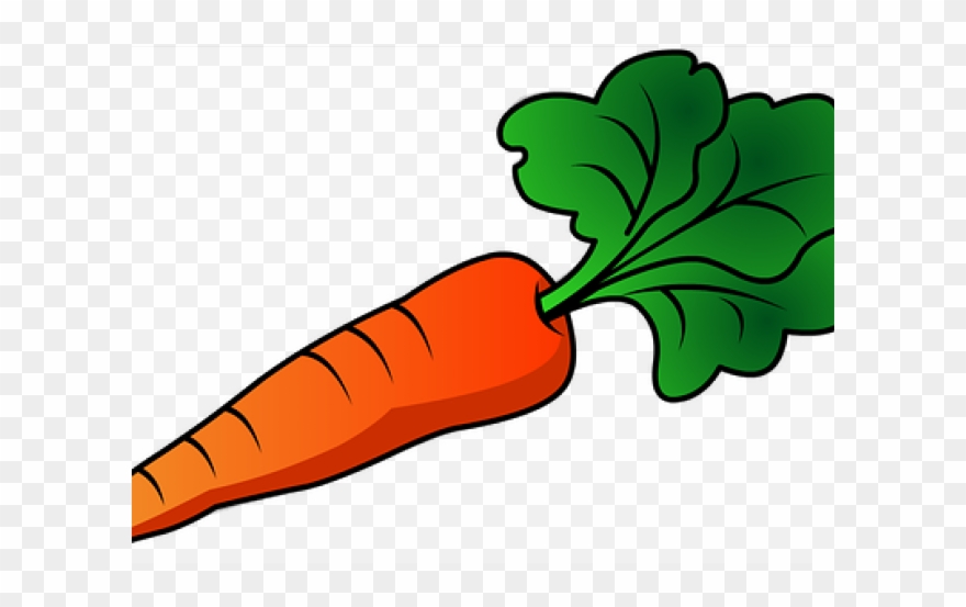 Radish Clipart Vegetable Leave