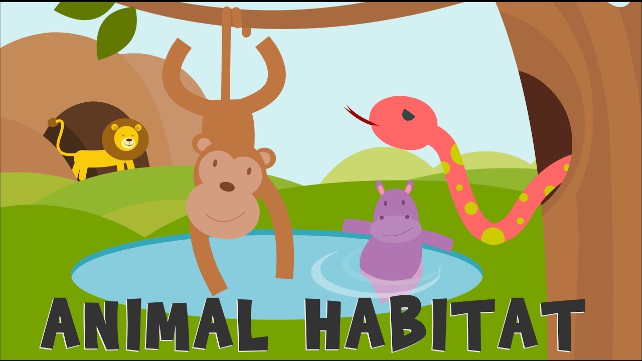 Animal habitats animal.