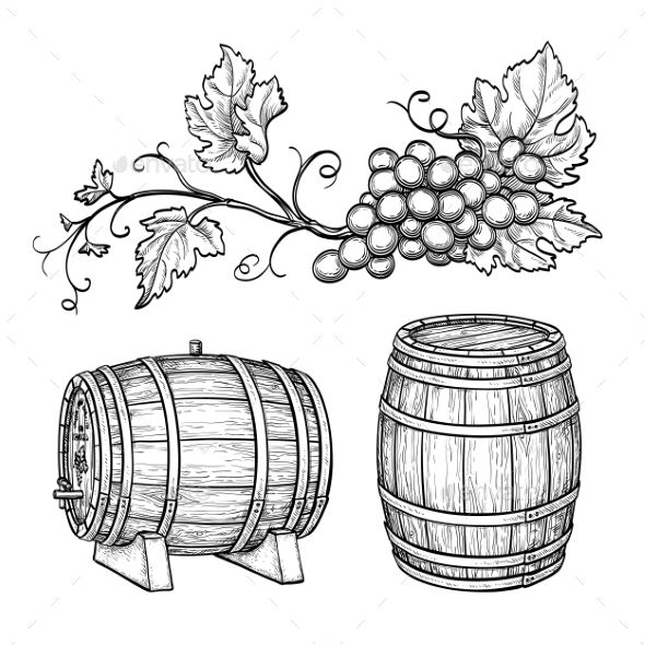 Grape Branches And Wine Barrels