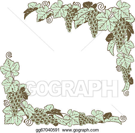 Vector illustration grape.