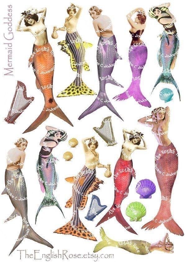 Mermaid tail reference.