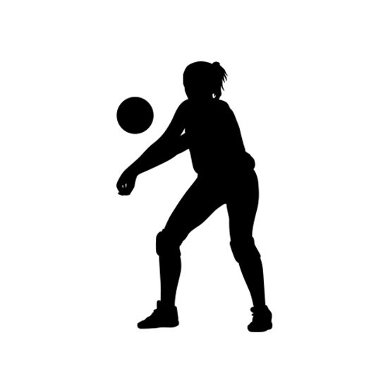 Collection volleyball player.