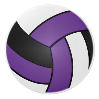 Lower Hudson Volleyball Association