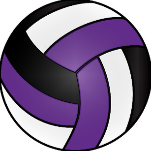 Purple volleyball stickers.