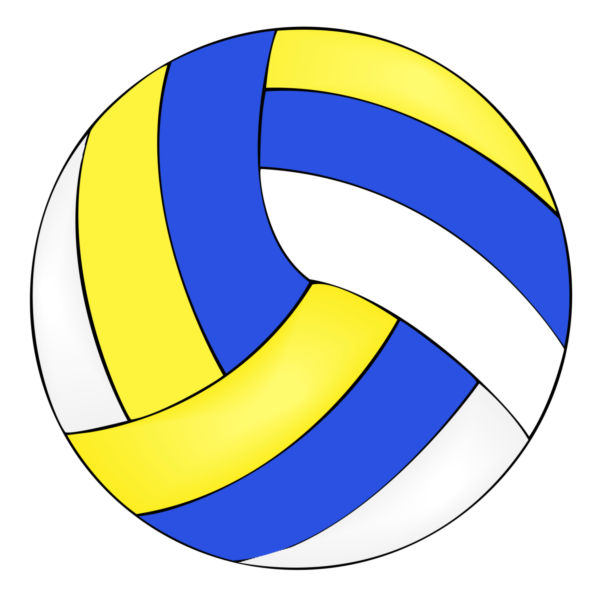 Vector image of a volleyball