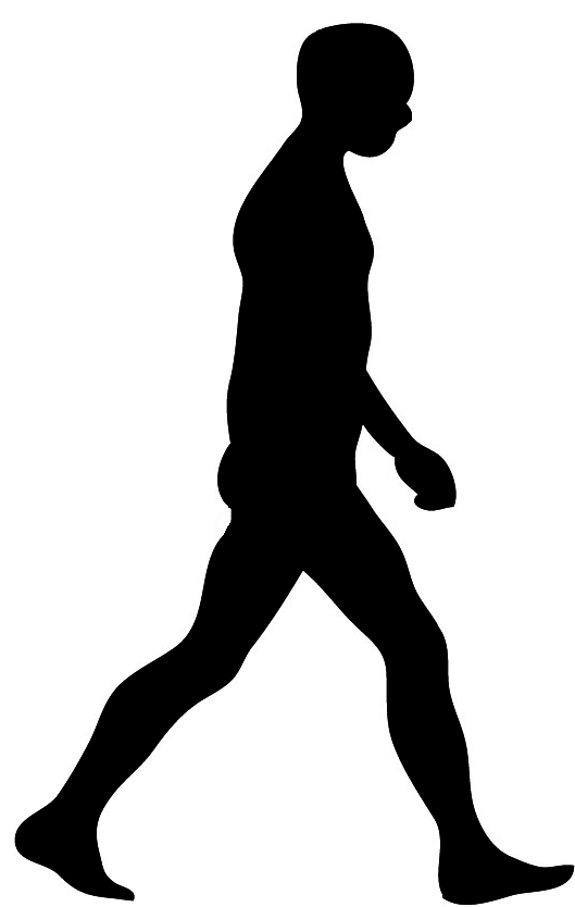 Silhouette man walking.