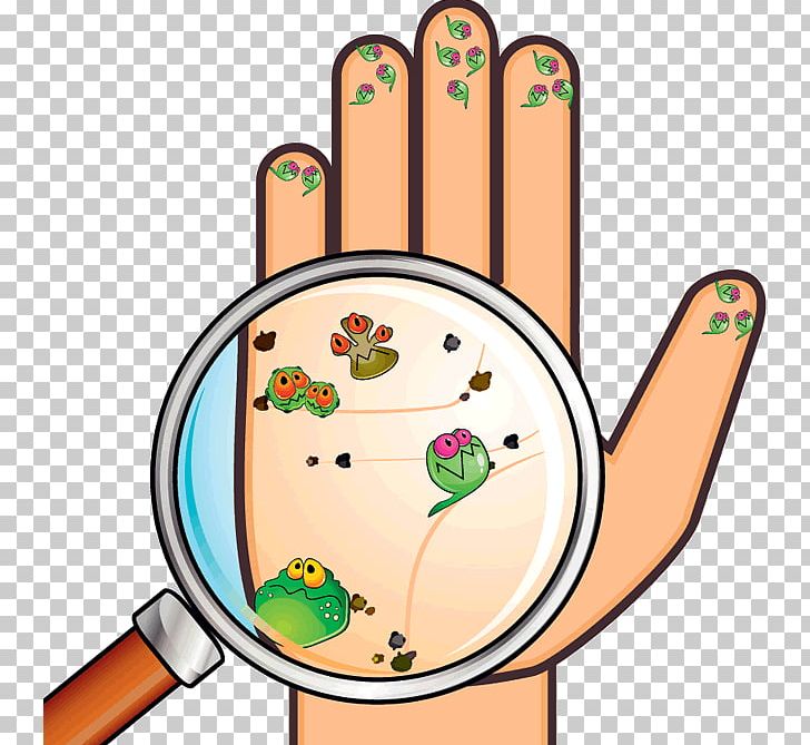 Hand Hygiene Washing Bacteria PNG, Clipart, Area, Bacteria