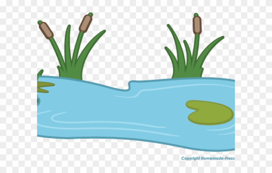 Lily Pad Clipart Pond Animal