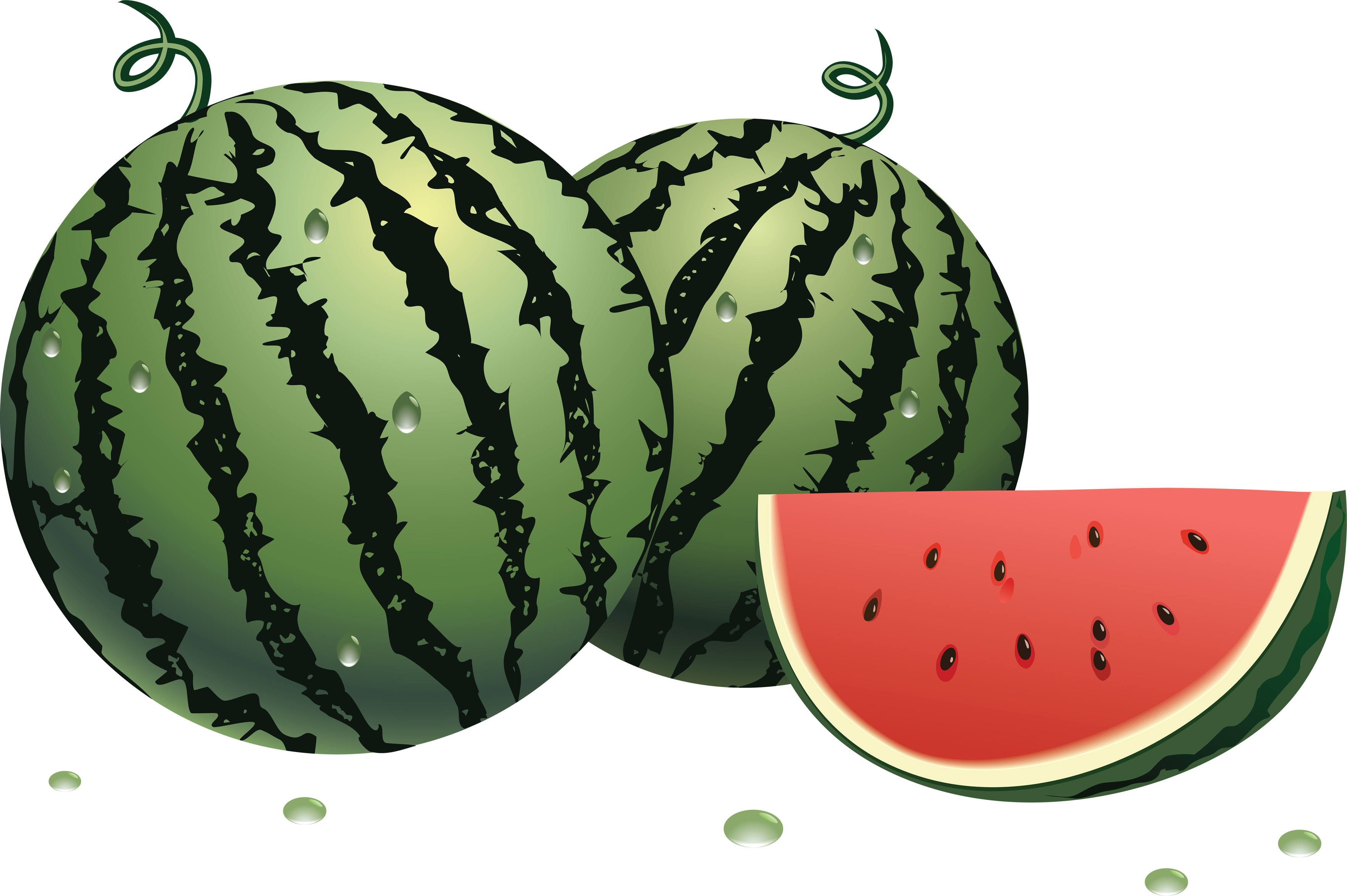 Oval clipart watermelon.