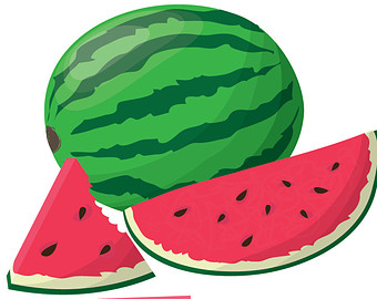 Watermelon clipart transparent.