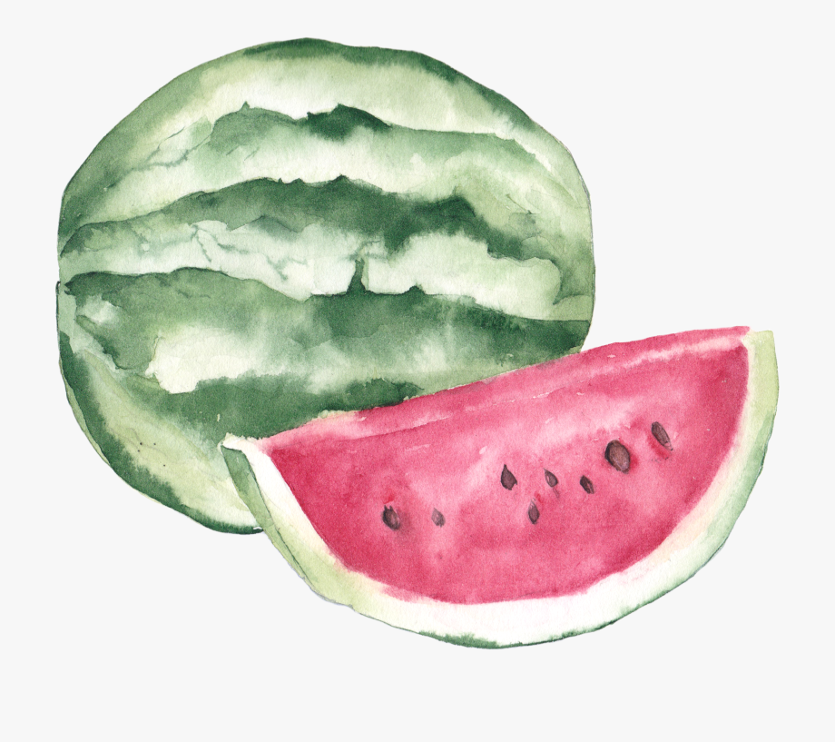 watermelon clipart watercolor