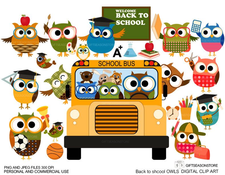 welcome back to school clipart owl