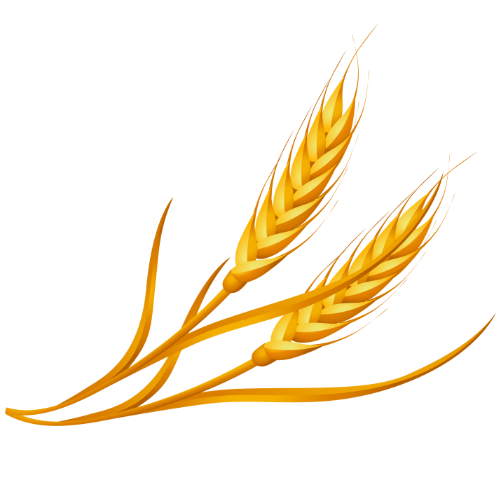 Wheat clipart png.