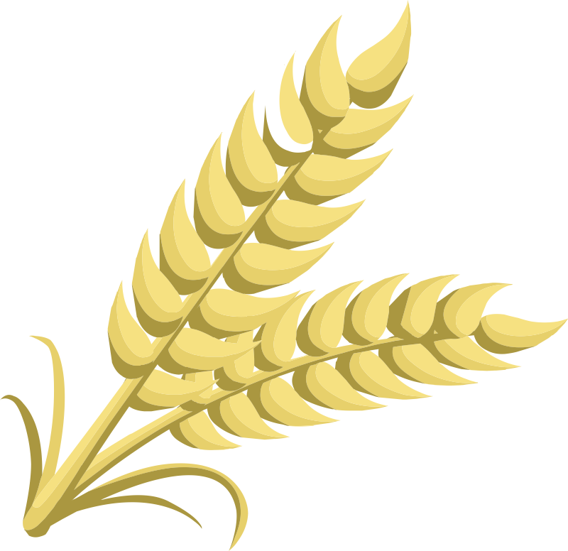 Wheat Animated Transparent