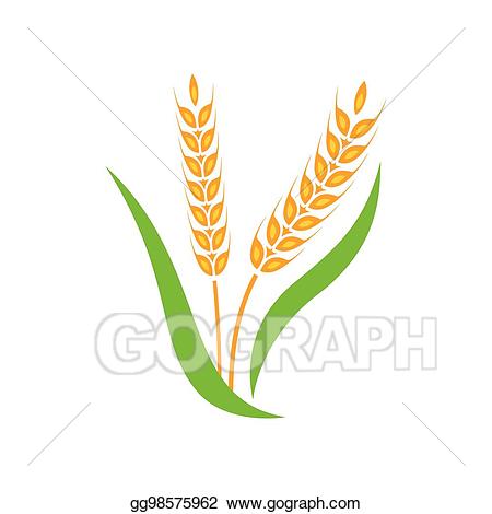 Vector clipart wheat.