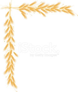 Wheat border Clipart Image