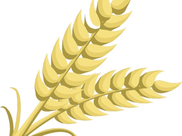 Free Wheat Clipart, Download Free Clip Art on Owips