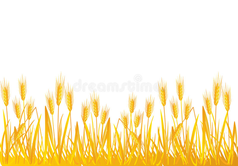 Wheat field clipart.