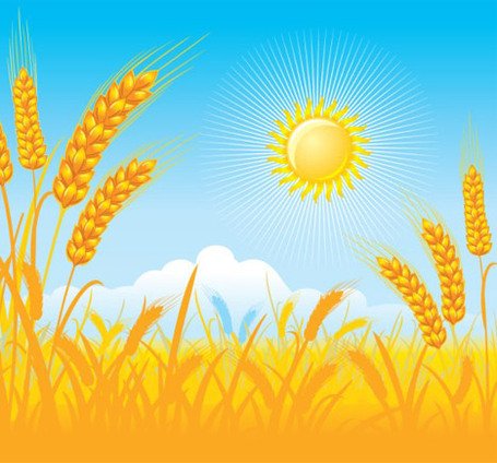 Free Wheat fields Clipart and Vector Graphics